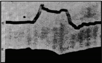 Principles of Electrode Recordings  