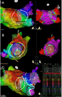 Johnson-Fig3-June