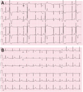 Knight - Fig 1 - May 2024