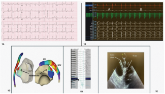 Al Taii - Fig 1 - July 2027