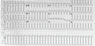 Knight - Fig 1 - July 2024