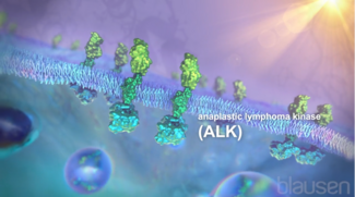 ALK