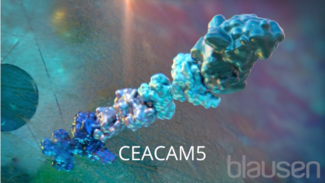 CEACAM5