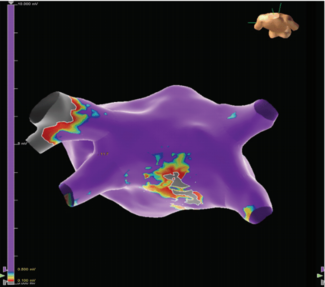 Parvathaneni - Fig 2 - Aug 2024 