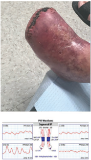 Shishehbor - Fig 1 - Aug 2024