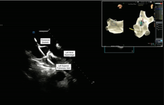 Modi - Fig 1 - Oct 2024 
