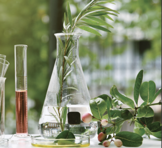 Natural or Organic Treatment