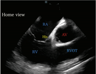Demo - Fig 1 - Nov 2024