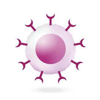 Illustration of a T cell