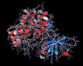 Illustration of JAK1 Protein