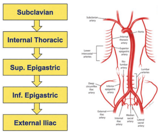 Kern-Fig1-CLD-Dec2024