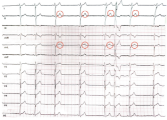 Knight - Fig 1 - March 2025 