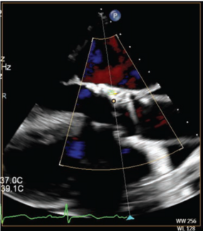 Manasrah-Fig4-CLD-Feb25 