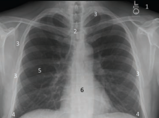 Kern-Fig1-April 2025.png 