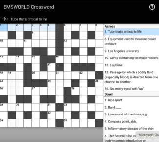 EMS Crossword Puzzle