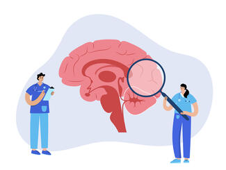 An illustrated picture shows two cartoon doctors, one holding up a magnifying glass to a cartoon brain.
