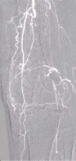 Kumar-Fig 1 - CLD-Aug 2025.png 