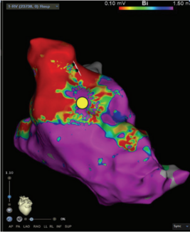 Russell-Fig1-EP-Aug 2025.png