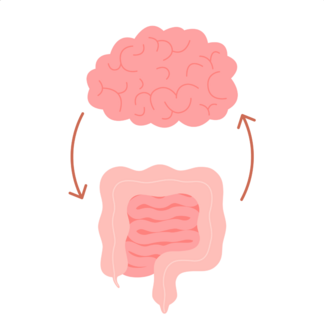 an illustration of a brain and a colon 