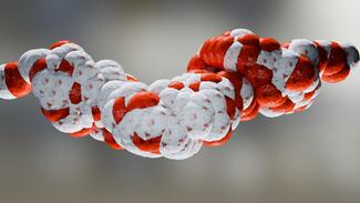 molecule_glucagon-like peptide-1