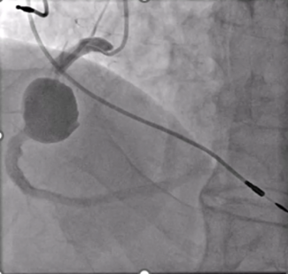 Manousopoulos Figure 1