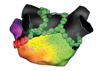 Mathew-Fig1-Dec 2025.png (1.04 MB) 