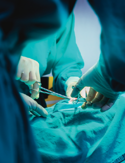 Peroneal Tendon and Retinaculum Repair With Suture Augmentation: A Case Study and Technique Guide