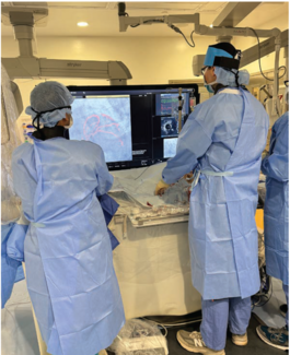 Lotfi-Fig1-Dec 2025.png (1.36 MB) 