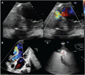 Shah-Fig1-Dec 2025.png (1.24 MB) 