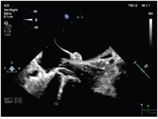 Chinitz-Fig1-Feb 2026.png (142.46 KB) 