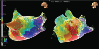 Vivas-Fig1-Feb 2026.png 