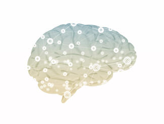 illustration of a brain
