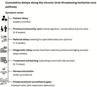 Cumulative delays along the CLTI care pathway 