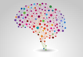 a colorful illustration of the brain