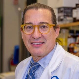 Javier Pinilla Ibarz, MD, PhD