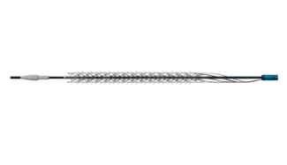 Reflow Medical Spur System