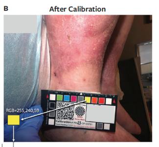 preview of figure 1