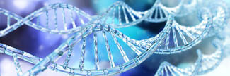 a strand of RNA