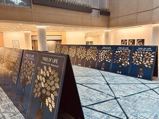 Tree of Life Display