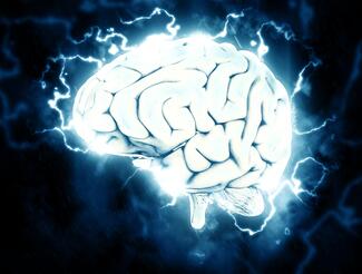illustration of a brain