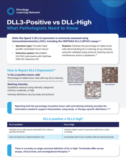 DLL3 Mod 2 Quick Ref