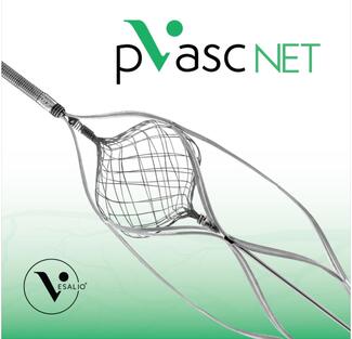 pVasc NET (Vesalio)