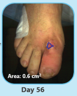 part of figure 6