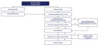 calcified_lesion_algorithm