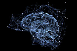 3D illustration of a brain in blue and white against a black background