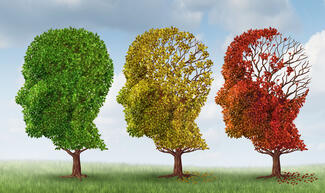 trees with leaves falling to represent dementia progression