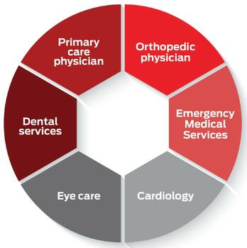 Figure 1: Potential members of the sports medicine team 