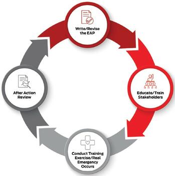 Figure 2: Like most emergency plans, those for athletic injuries should be revised cyclically. 