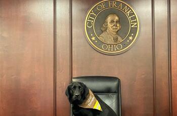 Although Demeter is still in his early days as a therapy dog, he is already having a positive impact on CFDF responders. 