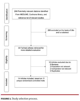 Laukkanen - Figure 1
